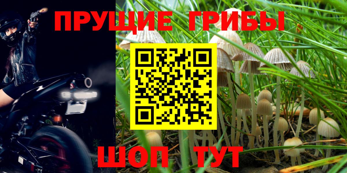 Псилоцибиновые грибы мицелий  Вход с VPN  наркошоп  Нижний Новгород 