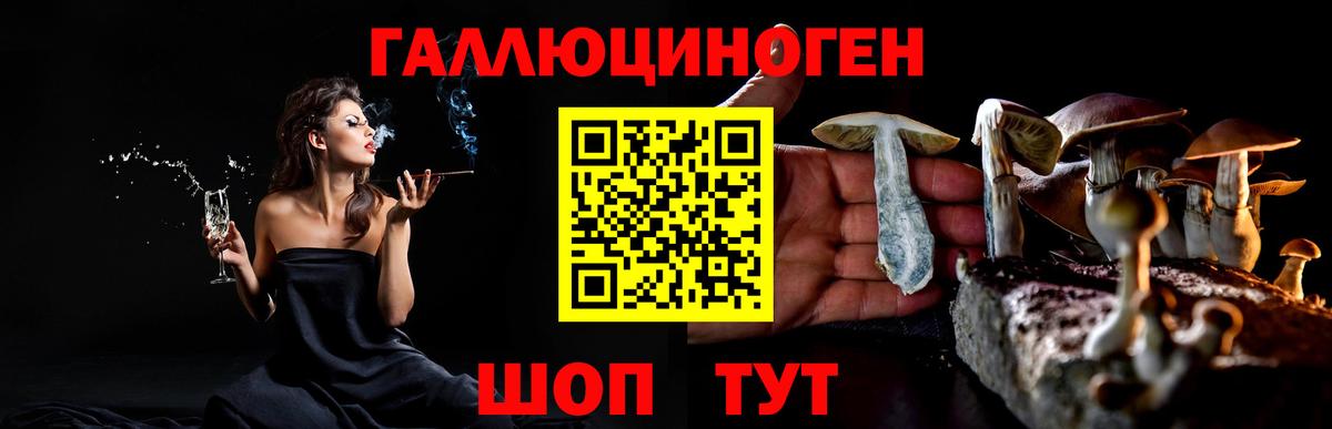 Псилоцибиновые грибы Magic Shrooms Нижний Новгород
